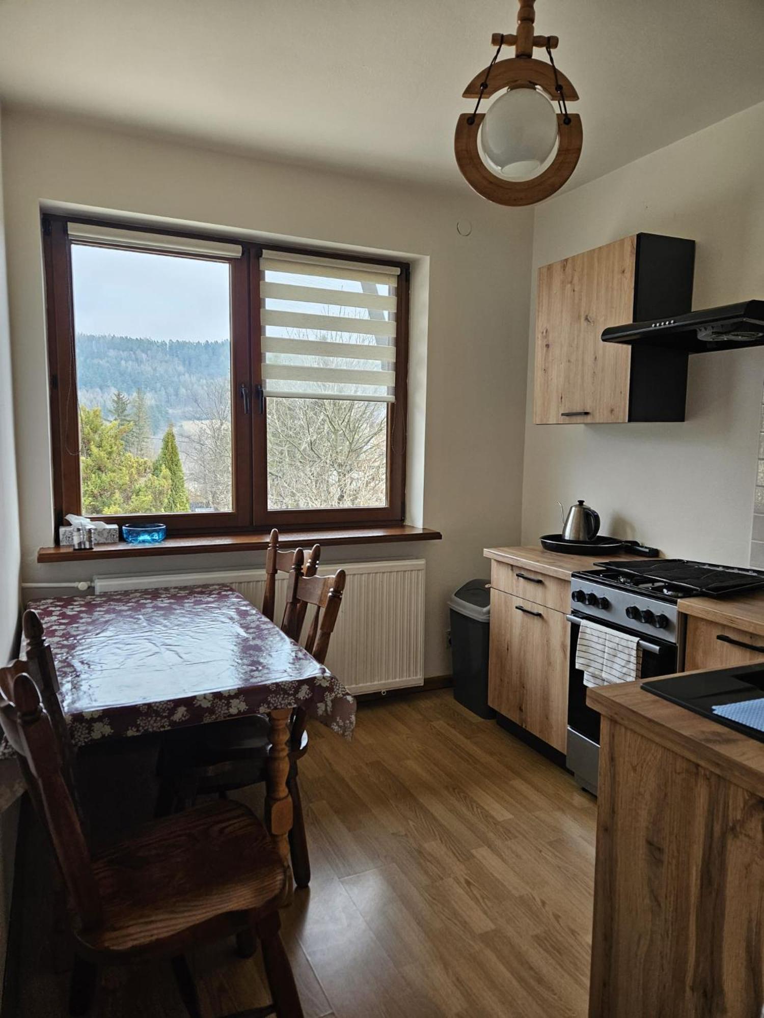 Hotel Mountain House à Ustrzyki Dolne Extérieur photo